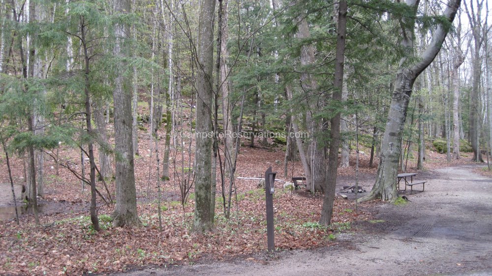 Photo Of Campsite 44 In Daisy Field South Campground At Potawatomi ...